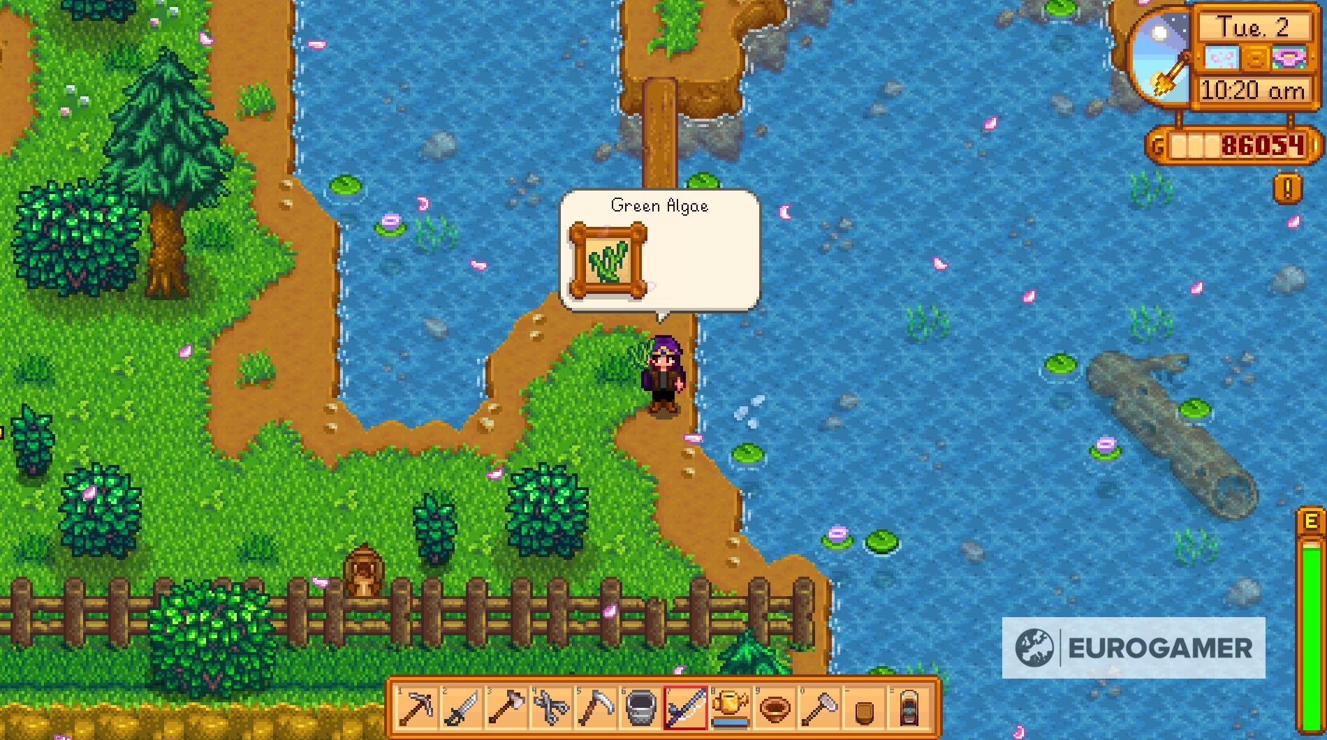 Stardew Valley Ponds best products and best fish for ponds, and pond